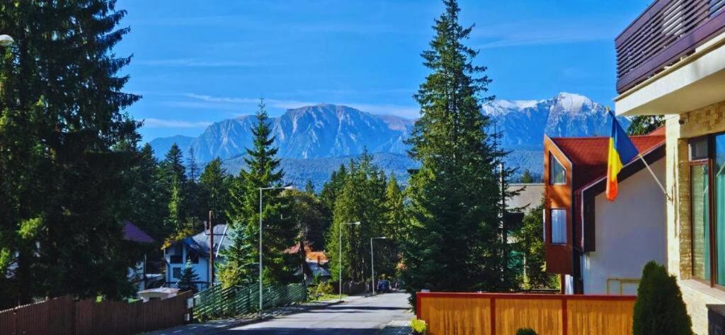 Apartament Vero